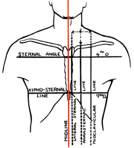 Midline of the body image line bisecting right and left of body