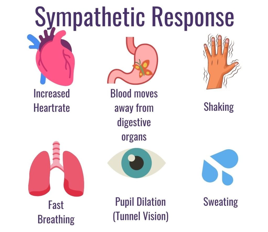 Sympathetic Responses